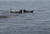 Владивосток. Японское море и Острова Приморья
