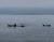 Владивосток. Японское море и Острова Приморья